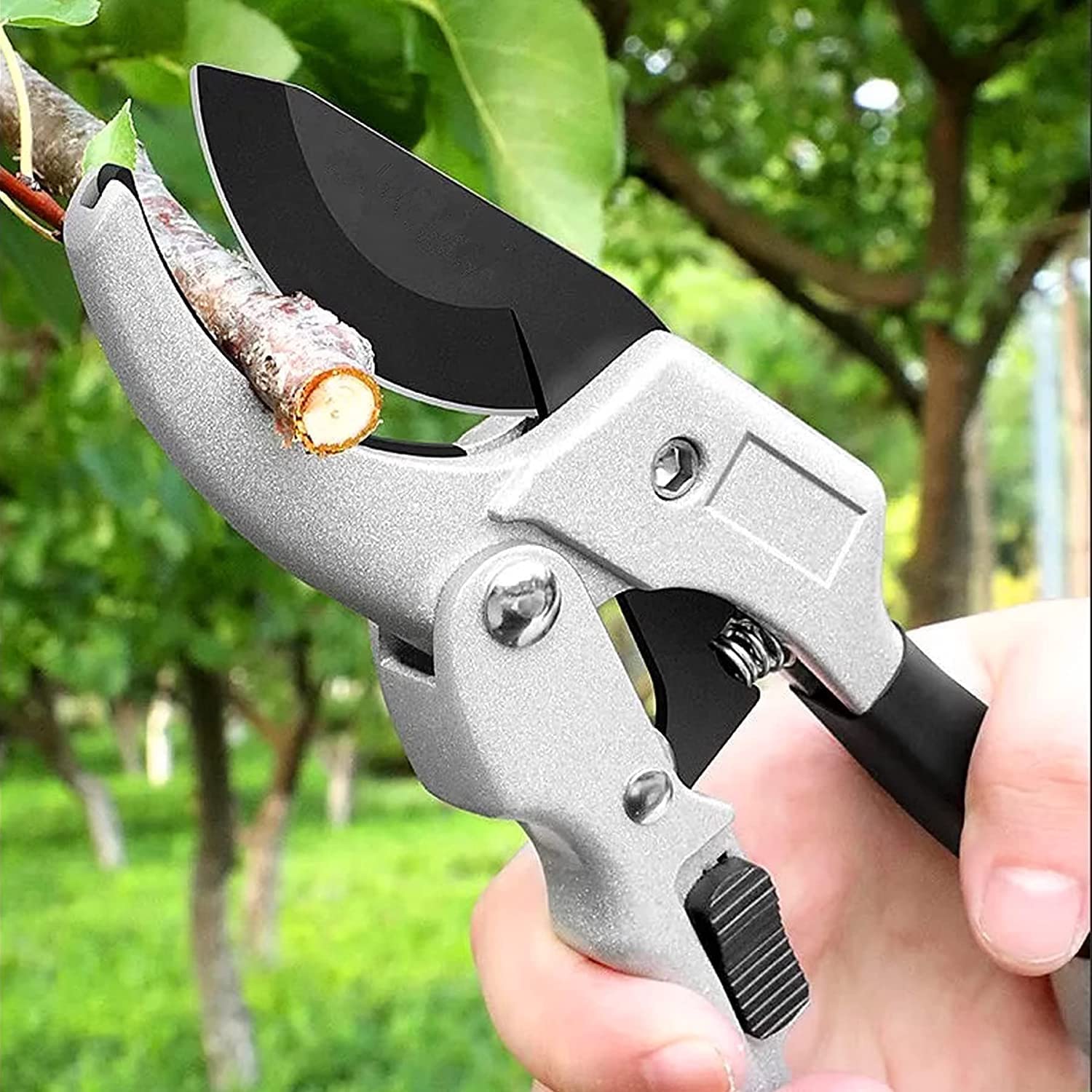 Garden Accessories